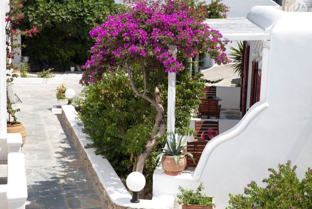 Domna Hotel Mykonos Town Ngoại thất bức ảnh